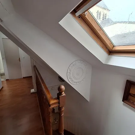 Appartement Cocon Dans L'artere Du Centre-ville *
